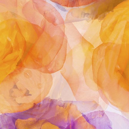 Framed Rosas Compo 5 Print