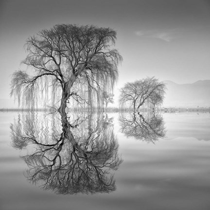 Framed 2 Sauces en Aqua Print