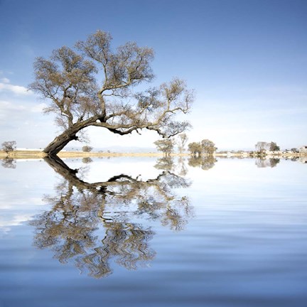 Framed Arbol en Agua 2 Color Print