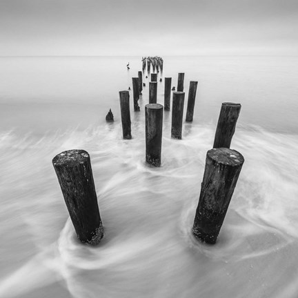 Framed Movement Print