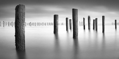 Framed Army 2 Pano Print