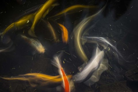 Framed Movement 2 Print