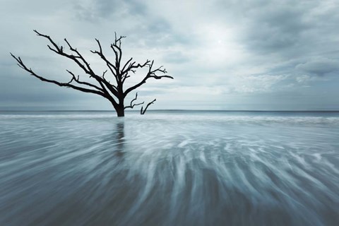 Framed Searching For Life Color Edit Print