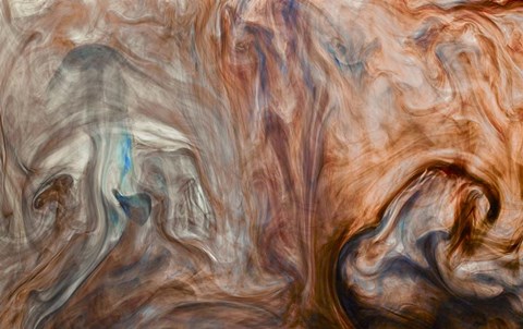 Framed Ephemeral Beauty 11 Print