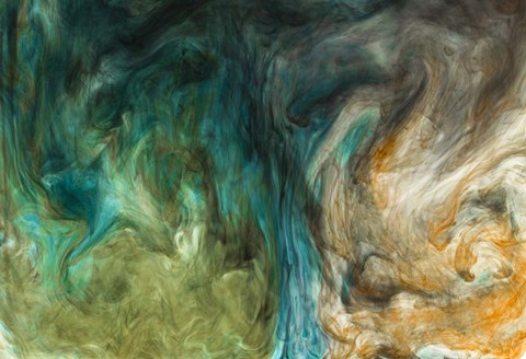 Framed Ephemeral Beauty 15 Print