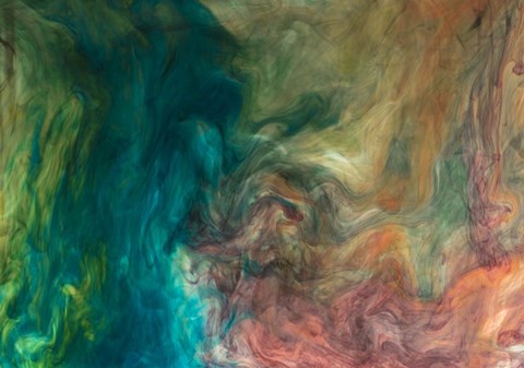 Framed Ephemeral Beauty 16 Print