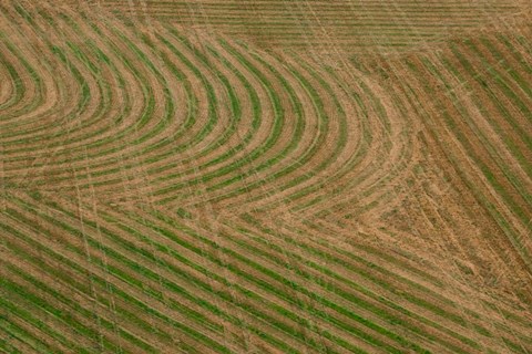 Framed Abstract Air 1-1 Print