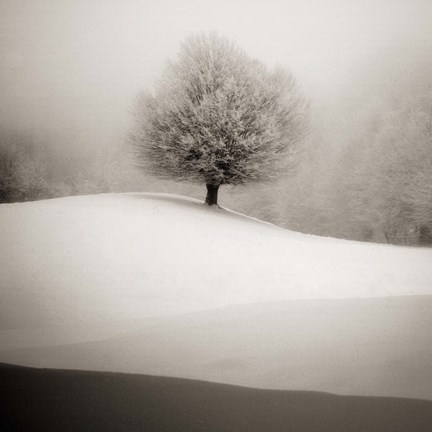 Framed Winter Degradee Print