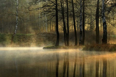 Framed Silent Light Print