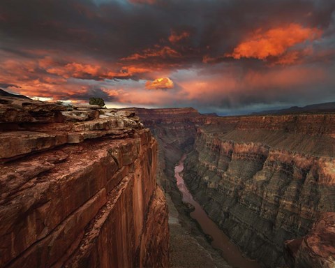 Framed Redemption Print