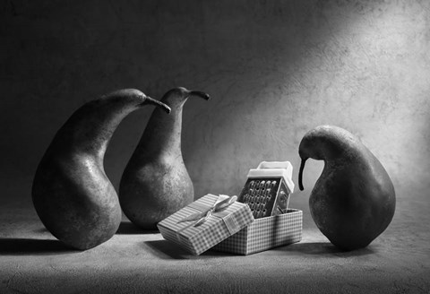 Framed Don&#39;t You Like Our Present? Print