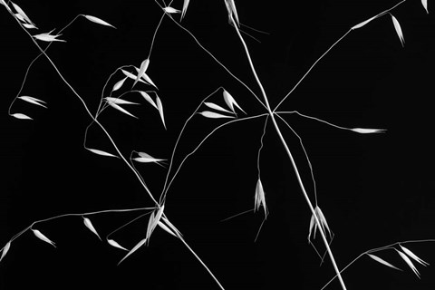 Framed Crossed Lines Print