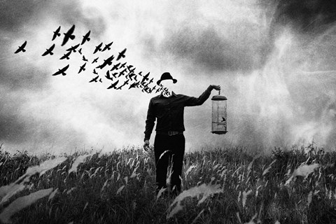 Framed Freedom Print