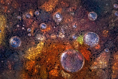 Framed Winter Over Autumn Print