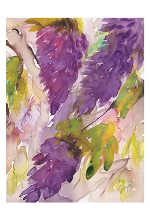 Framed Wisteria II Print