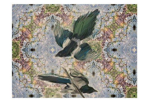 Framed Birds In Flight Print