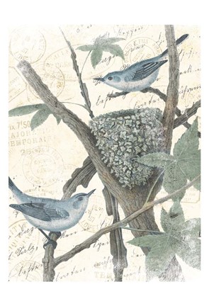 Framed Bird Mail Print