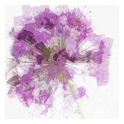 Framed Modern Lilac I Print