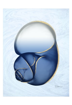 Framed Marble Indigo Snail 1 Print