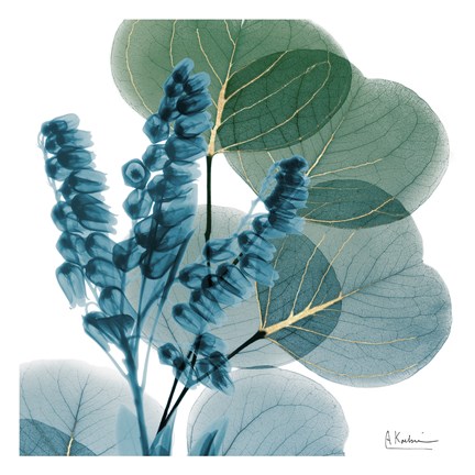 Framed Golden Lilly Of Eucalyptus Print