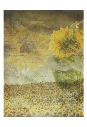 Framed Dear Sunflower Field Print