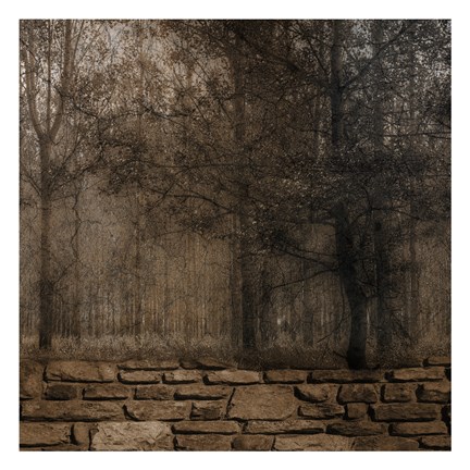 Framed Stone Wall Landscape 2 Print