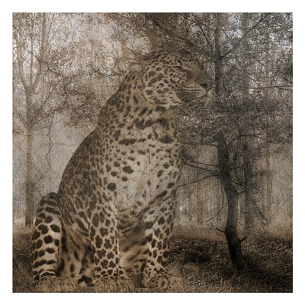 Framed Wild Jungle 1 Print