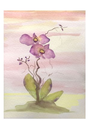 Framed Orchid Trio 1 Print
