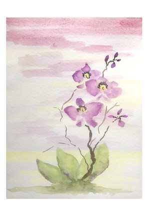 Framed Orchid Trio 3 Print