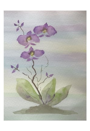 Framed Orchid Duo 1 Print