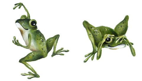Framed April Showers - Frogs Print