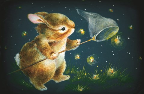 Framed Light Show Print