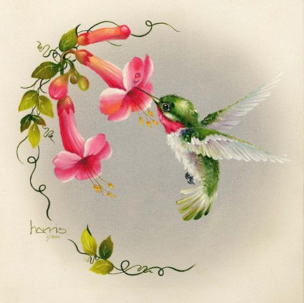 Framed Hummingbirds With Trumpet Flowers 1 Print