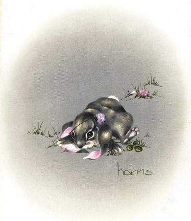 Framed Ear We Go Again Print