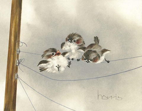 Framed One Ringy Dingy Print