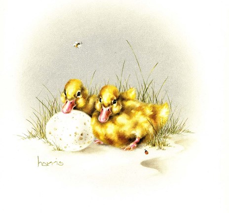 Framed Ducks And Egg Print