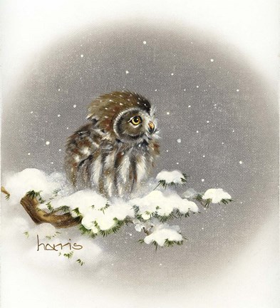 Framed Snow Daze Print