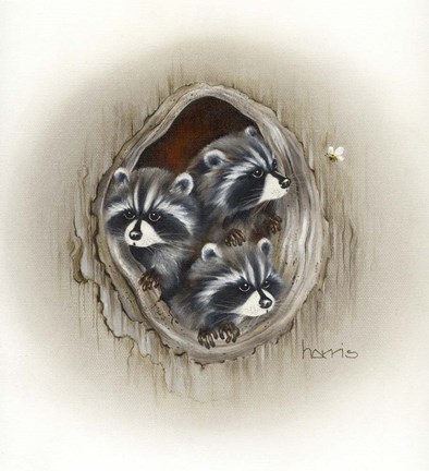 Framed Raccoons In Hole Print