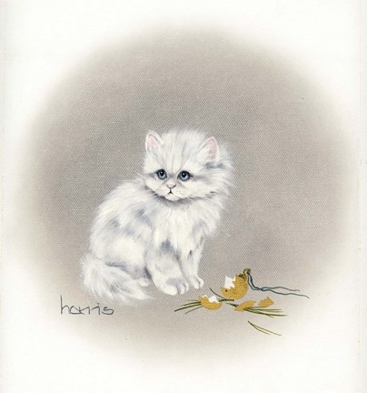 Framed White Kitty (Ornament) Print