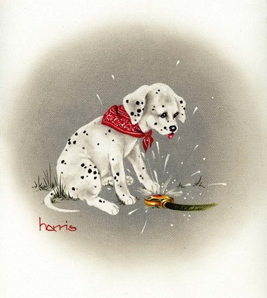 Framed Dalmation 3- Sprinkles Print