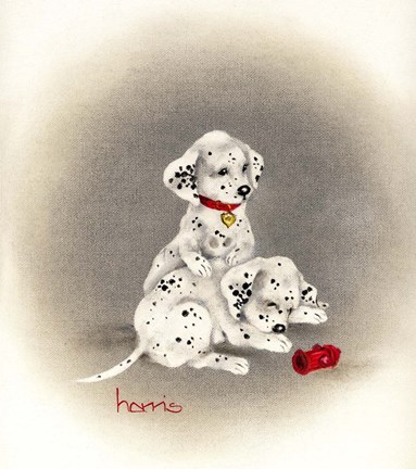 Framed Dalmation 2 - Curiosity Print