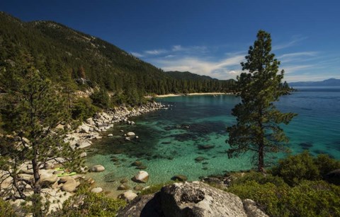 Framed Nature Walk Print