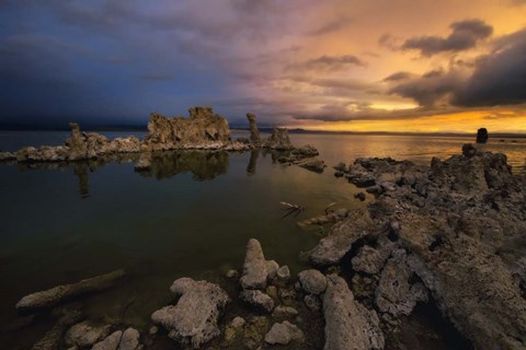 Framed Transition Print