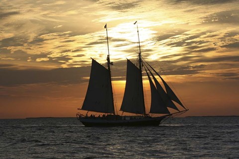 Framed Golden Liberty Print