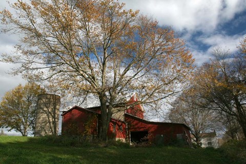 Framed Early Spring Tree Barn Print