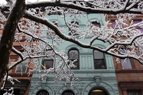 Framed Snowstorm Brownstones Branches Print