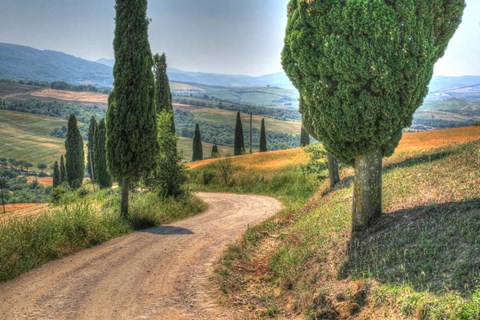 Framed Tuscan Footpath 0392 Print
