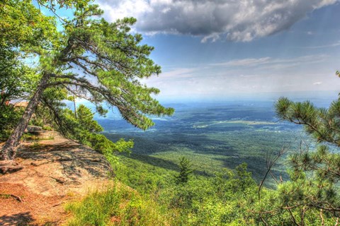 Framed Big Valley View Print
