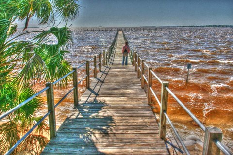 Framed Cedar Key Pier Print