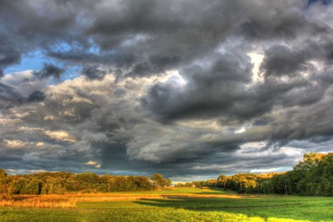 Framed Front Forty Print